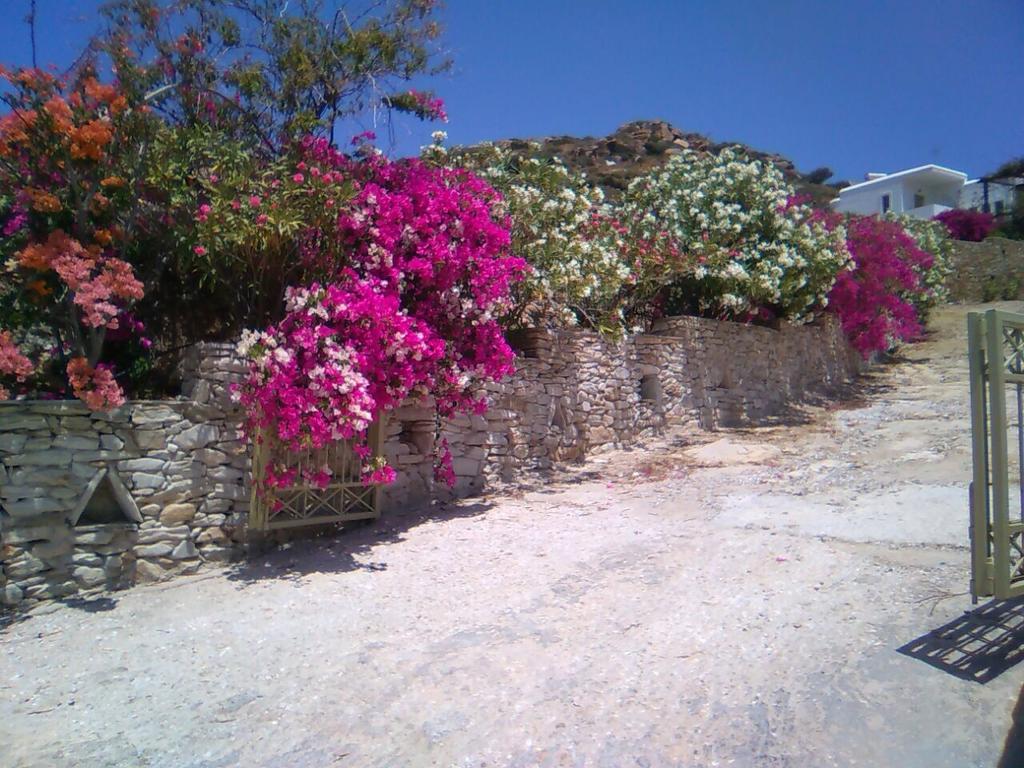 Eva Villa Mylopotas Exteriér fotografie